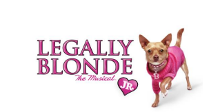 2016-2017-legally-blonde.cc68043213.png